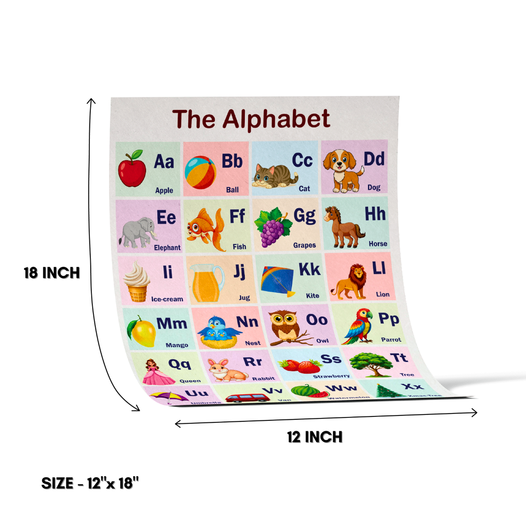 PAMPERBUG Smart Learning 5-in-1 Preschool Educational Charts For Ages 2-6