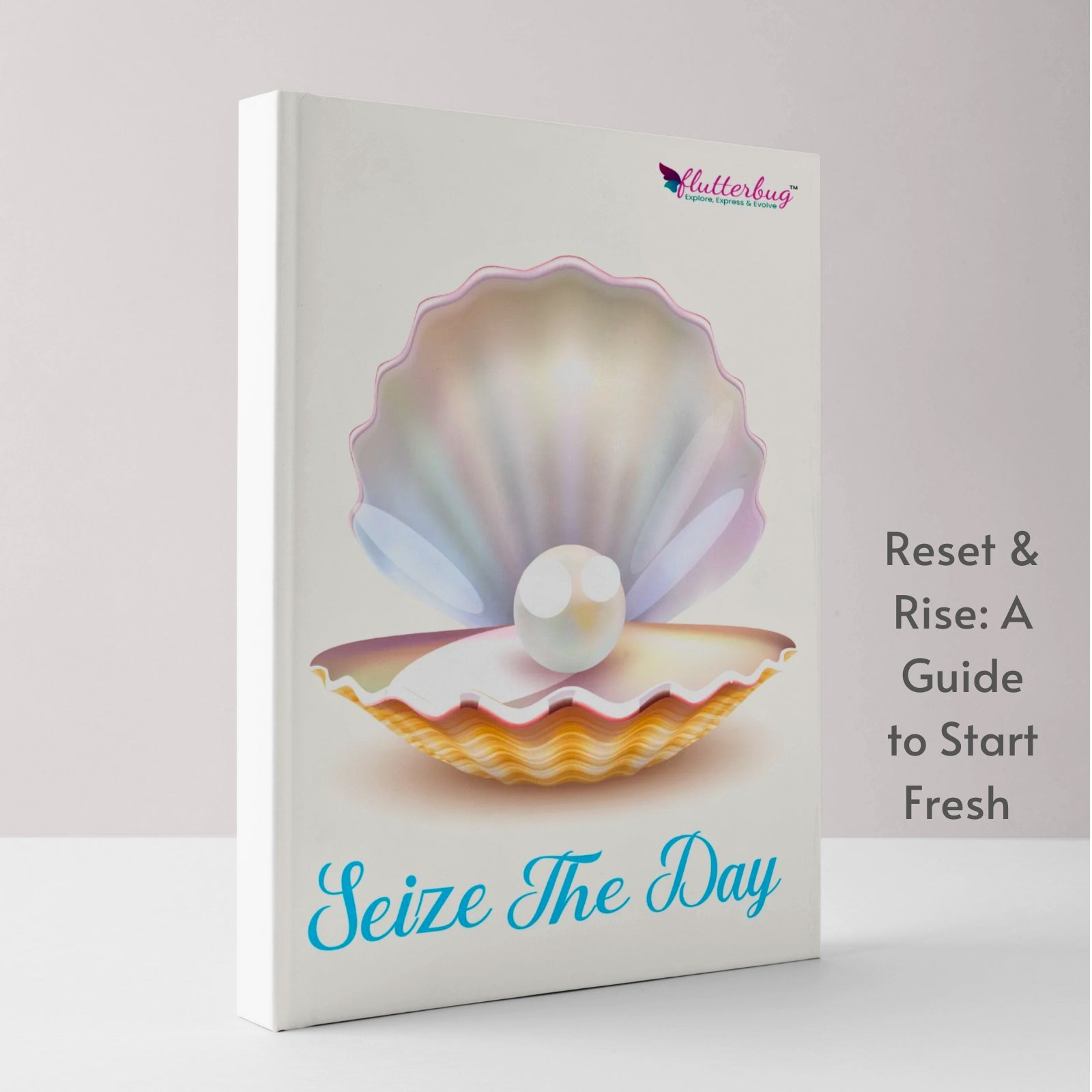 Seize the Day 2025 Undated Planner, Gratitude Journal, Daily Reflection Journal, Stickers, How to Start Fresh Section, Long- Term Life Plan Sections