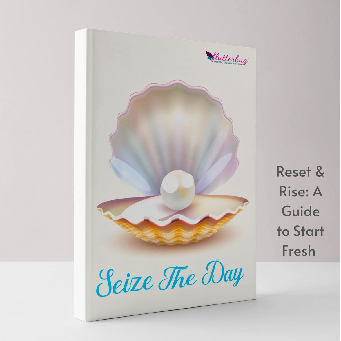 Seize the Day 2025 Undated Planner, Gratitude Journal, Daily Reflection Journal, Stickers, How to Start Fresh Section, Long- Term Life Plan Sections