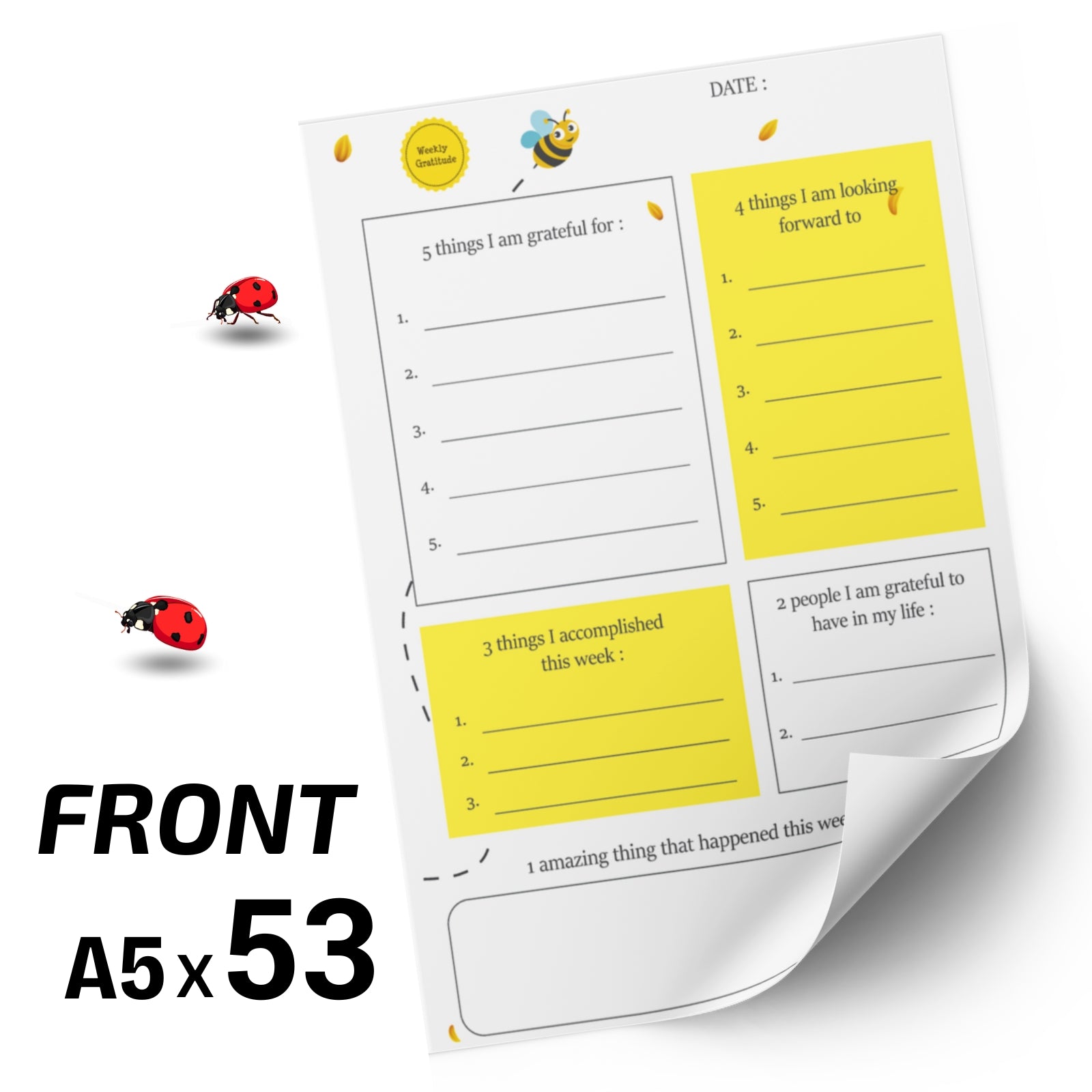 Weekly Gratitude Diary Journal – Your Daily Reflection & Mindfulness Companion