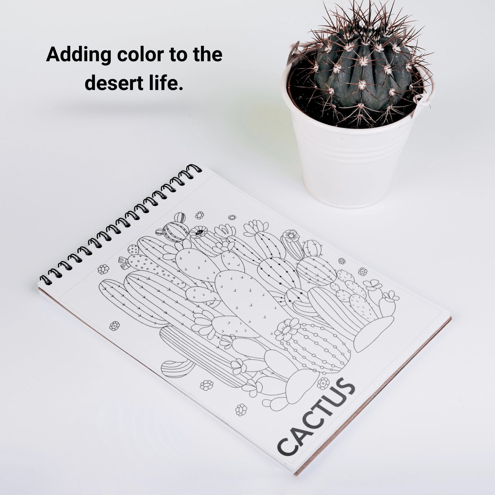 Doodlebook - Doodle Art Patterns Colouring Book