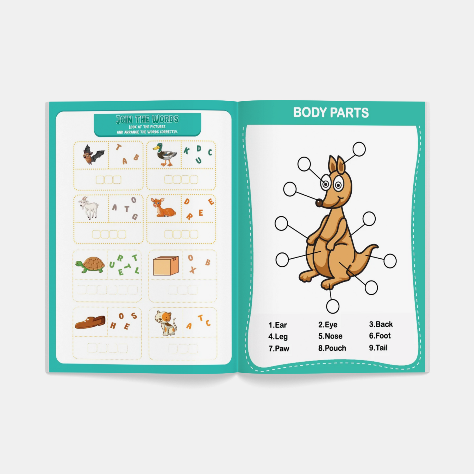 Early learning picture book set fun and educational books for kids